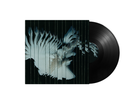 Endlessly 12" Vinyl